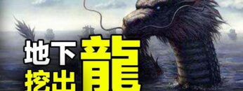 [ID: LZ2MMM1ixng] Youtube Automatic