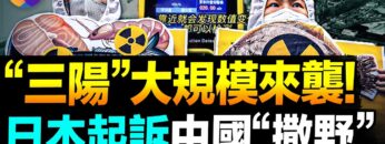 [ID: e_HsaMS4ItA] Youtube Automatic