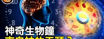 [ID: IhUODQbesNM] Youtube Automatic