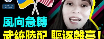 [ID: ZMJ8CaJgYcw] Youtube Automatic