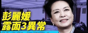 私密：[ID: BsJ478X4ekM] Youtube Automatic