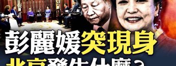 私密：[ID: Ol8HLNnjxac] Youtube Automatic