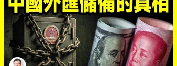 私密：[ID: wItKpNkthbI] Youtube Automatic