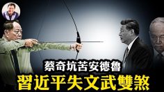 [ID: 2PYN5PxE86I] Youtube Automatic