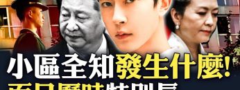 [ID: kxwy5RPN1cc] Youtube Automatic