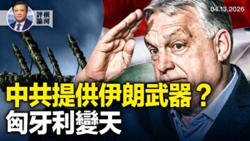 [ID: ADjgCCzXwxI] Youtube Automatic