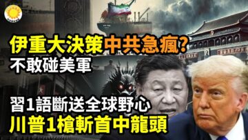 [ID: W4hse8eFKOE] Youtube Automatic